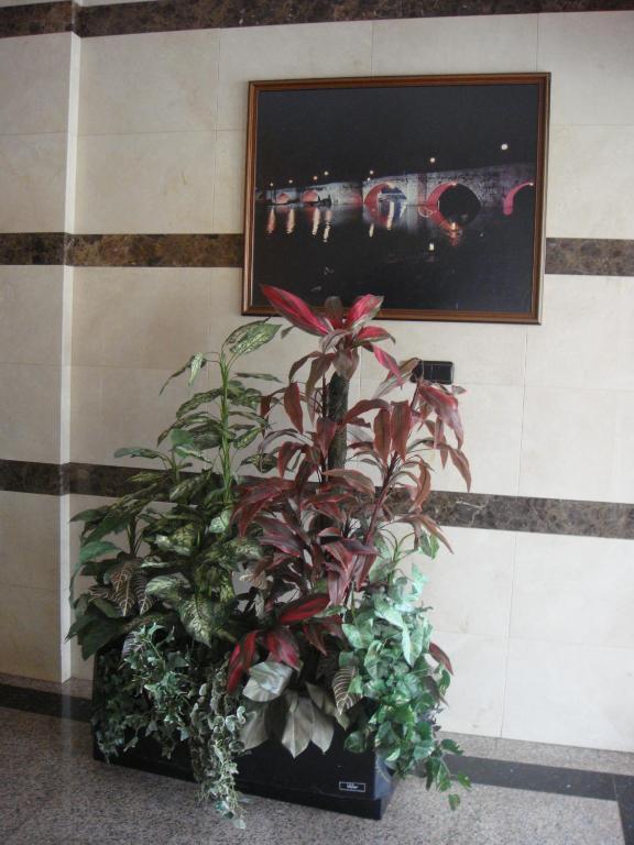 Hostal Serpol ปาเลนเซีย ภายนอก รูปภาพ