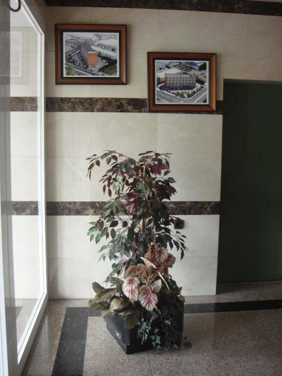 Hostal Serpol ปาเลนเซีย ภายนอก รูปภาพ